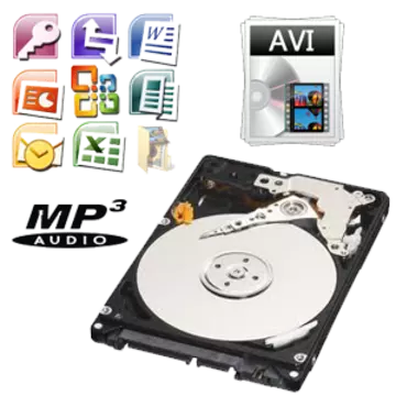 Salvado de datos