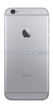 Tapa trasera iPhone 6 Gris espacial original