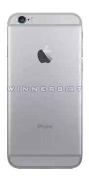 Tapa trasera iPhone 6 Gris espacial original