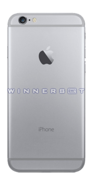 Tapa trasera iPhone 6 Gris espacial original