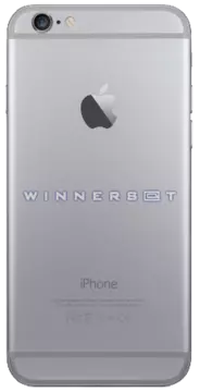 Tapa trasera iPhone 6 Plus Gris espacial Original