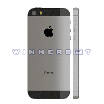 Tapa trasera iPhone 5s Gris original