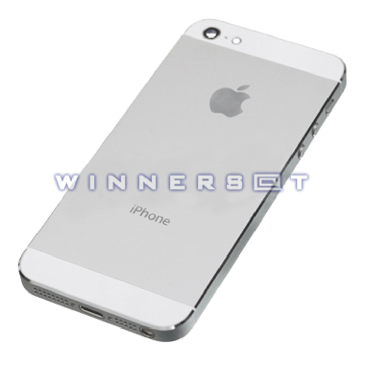 Tapa trasera Iphone 5 Plata original