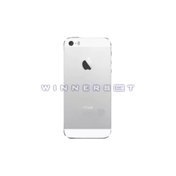 Tapa trasera iPhone 5s Plata original