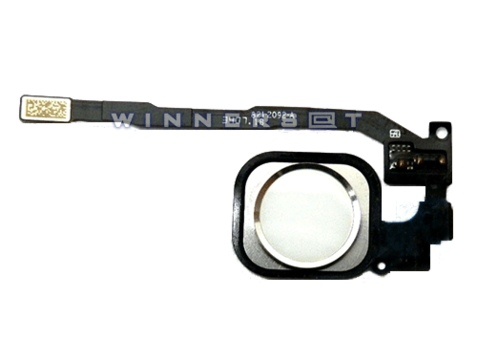 Flex botón home completo iPhone 5S plata/blanco