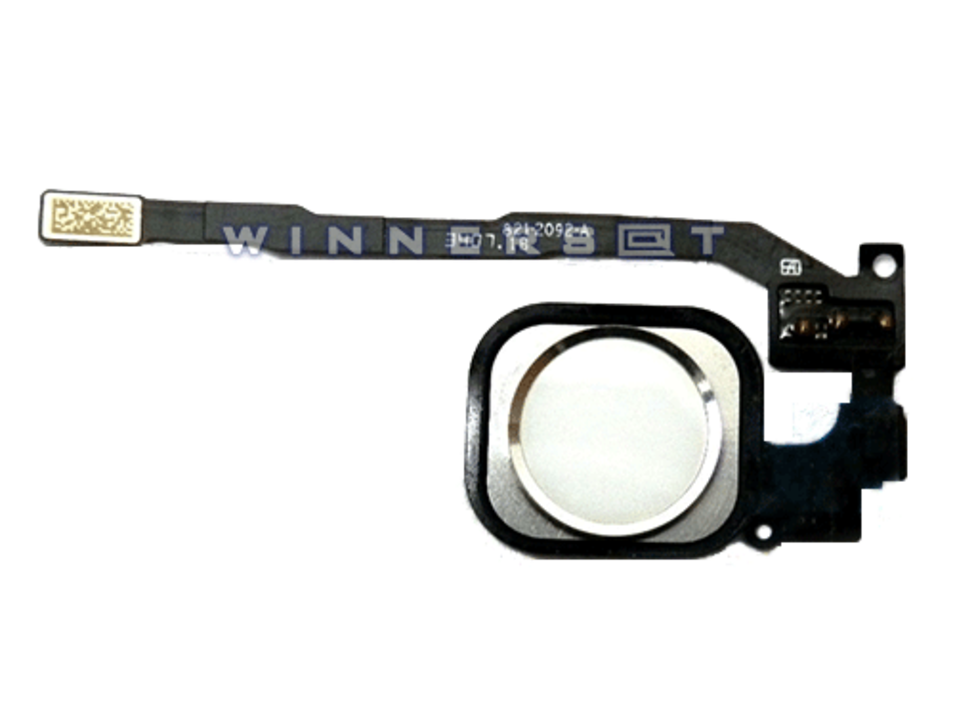 Flex botón home completo iPhone 5S plata/blanco
