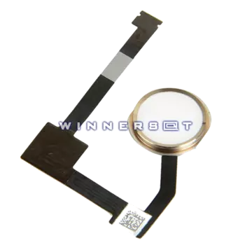 Boton home iPad Air 2 Dorado