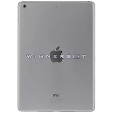 Unibody Ipad Air versión Wifi Plata