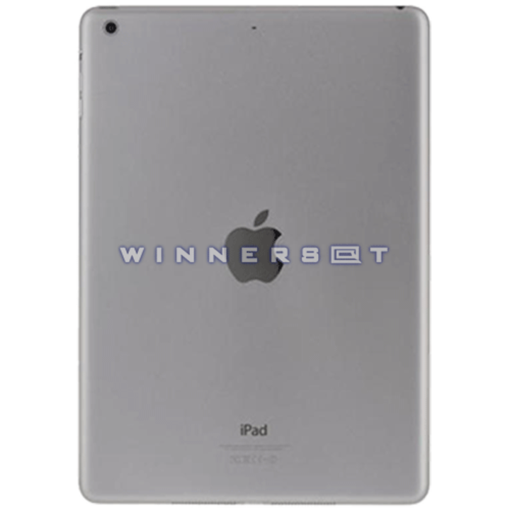 Unibody Ipad Air versión Wifi Plata