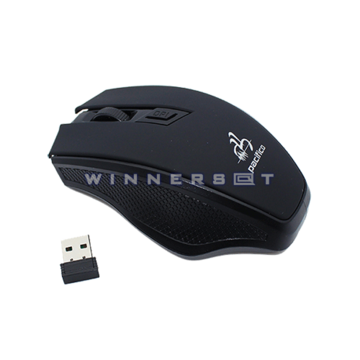 Raton Pacifico Wireless TP-R556