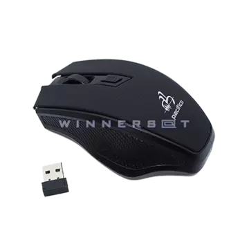 Raton Pacifico Wireless TP-R556