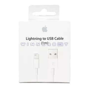 Cable datos iPad & iPhone Lightning Original