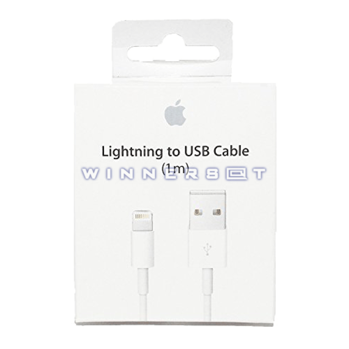 Cable datos iPad & iPhone Lightning Original