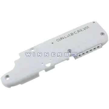 Módulo altavoz Ascend Y5 II