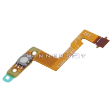 Flex boton cámara Xperia SP C5303