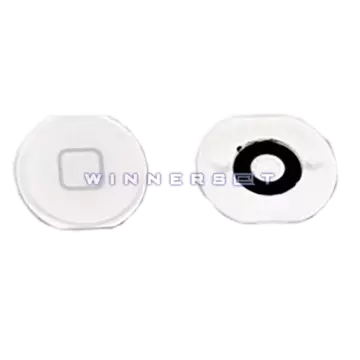 Botón Home iPad Mini A1432, A1454, A1455 Blanco