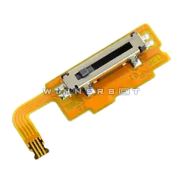 Flex interruptor volumen Nintendo 3DS XL