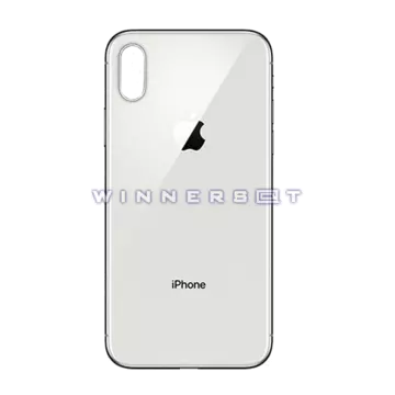 Vidrio trasero iPhone X Plata Original