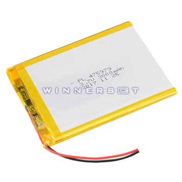 Bateria genérica 3.7v 3000mah 2.5x124x75