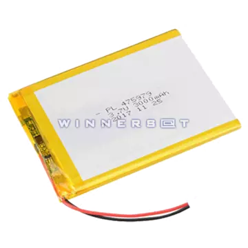 Bateria genérica 3.7v 3000mah 2.5x124x75