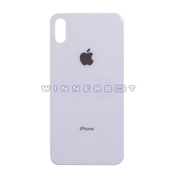 Vidrio trasero iPhone X Plata Compatible