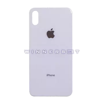 Vidrio trasero iPhone X Plata Compatible