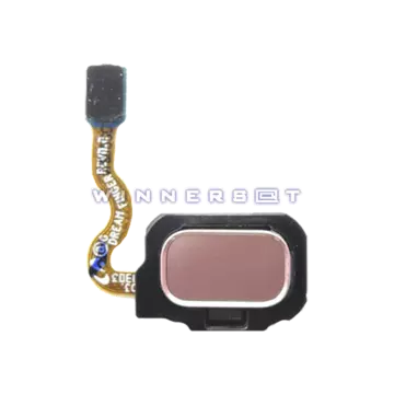 Flex botón home Galaxy S8 Plus SM-G955F Violeta