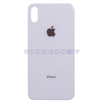 Tapa trasera iPhone XS Plata Original