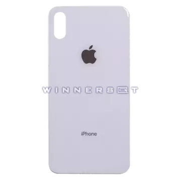 Tapa trasera iPhone XS Plata Original