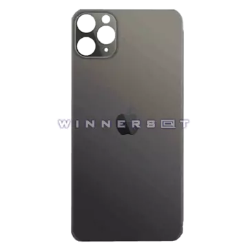Tapa trasera iPhone 11 Pro Negra Original