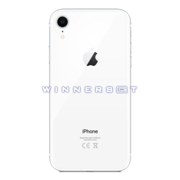 Chasis con componentes iPhone XR Blanco
