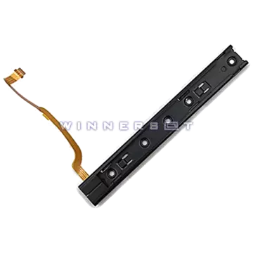 Flex raíl Joycon izquierdo Nintendo switch
