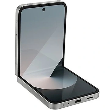 Samsung Galaxy Flip 6 Gris