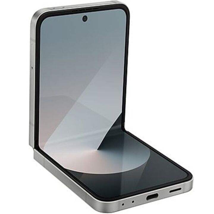 Samsung Galaxy Flip 6 Gris