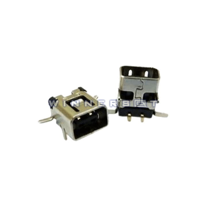 Conector de carga DSi